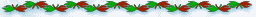 divider2.gif (1437 bytes)